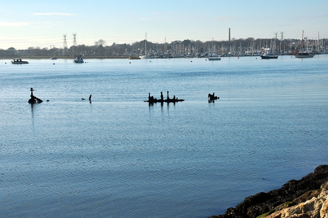 30 12 14_0158_edited-1.JPG - HOLES BAY, POOLE HARBOUR DORSET - 30.12.14